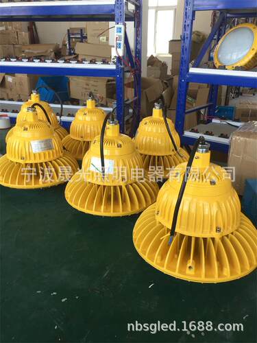 LED防爆灯 LED仓库灯 LED油站灯 40W-100W防爆灯 SG-BAD85