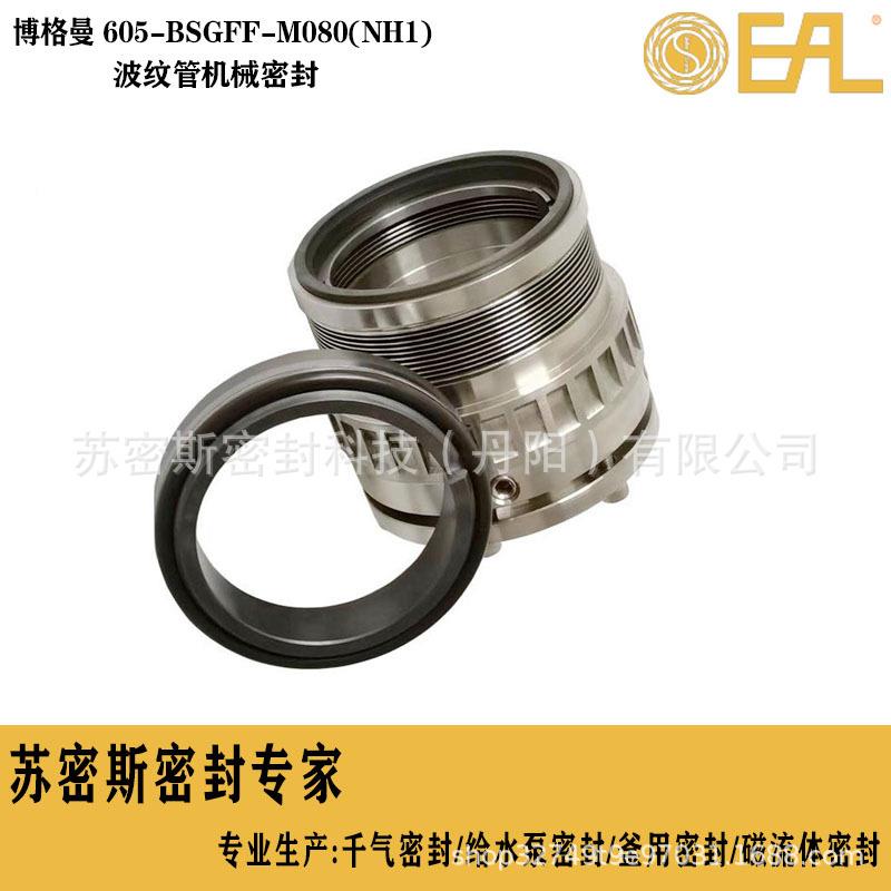 格曼机械M机封605-BSGFF-080(N博H1)械金RGN属波纹管机密封