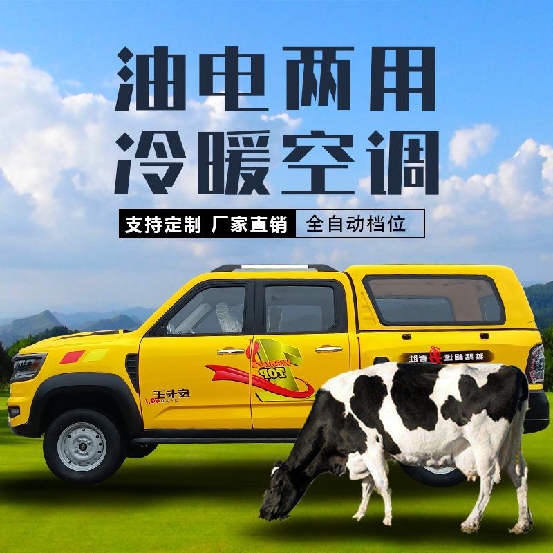电源动皮卡四车家用电tld02双排越野新能汽轮车老头乐油两用全封