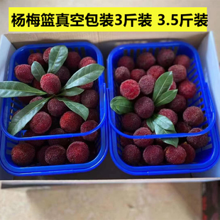 杨梅篮3斤装真空包装快递篮桑葚篮水果篮子樱桃草莓篮子车厘子篮