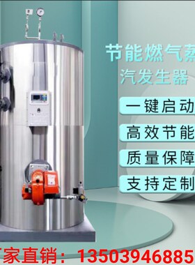 300kg500公斤1吨商用燃油燃气蒸汽发生器 生物质蒸汽锅炉厂家