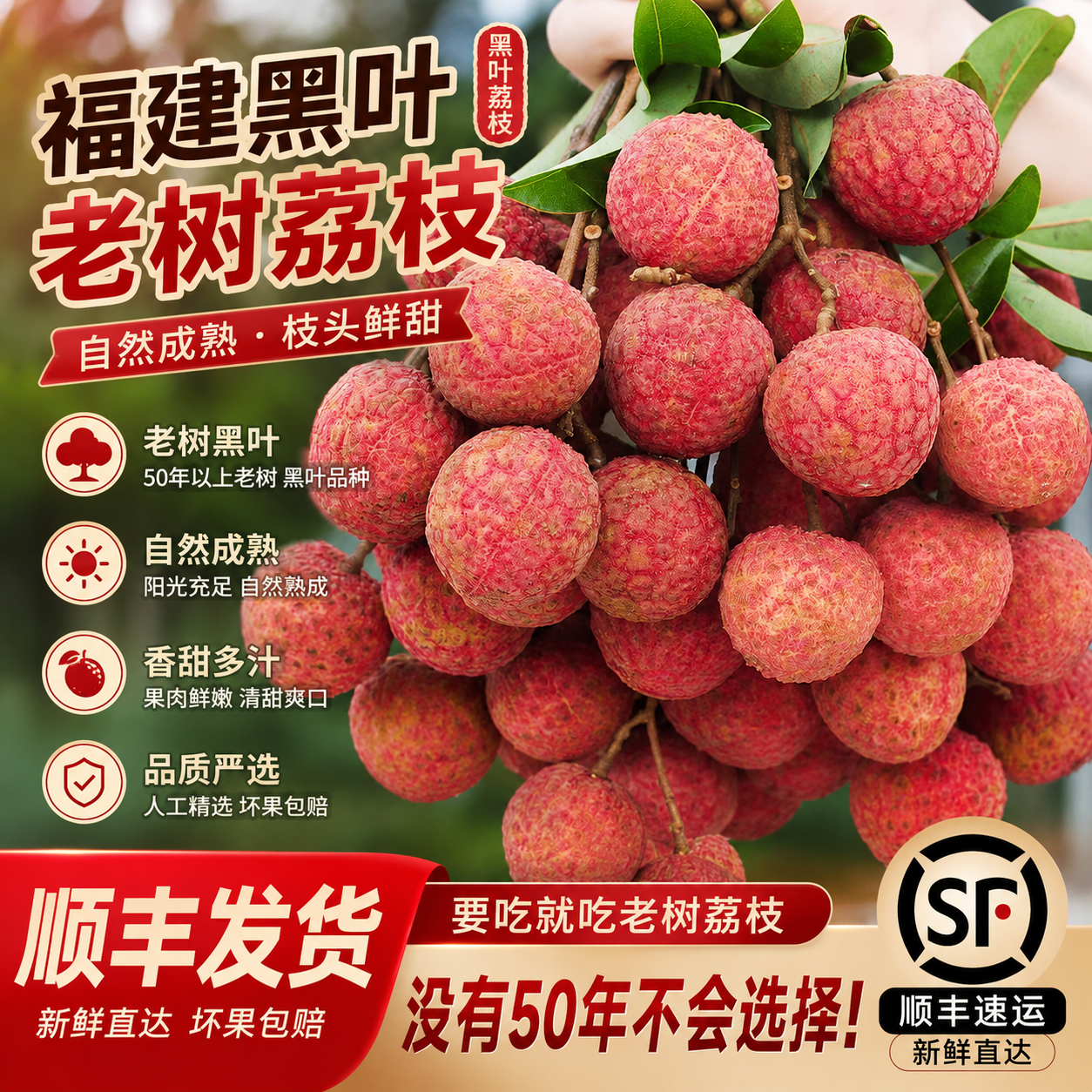 顺丰冷链福建黑叶荔枝新鲜现摘现发老树果水果当季整箱包邮甜应季