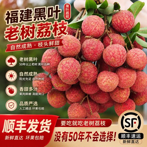 炫欢荔枝新鲜水果现摘现发