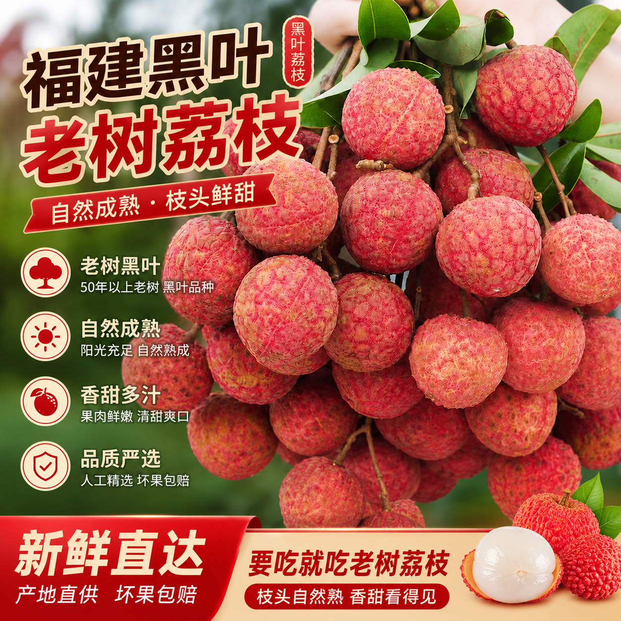 福建黑叶荔枝新鲜水果现摘现发老树果水果当季整箱包邮甜应季