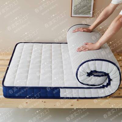 卧室学生海绵床垫棕胶垫子NSL租房90垫乳加厚椰家用软单人宿舍榻