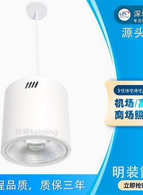 带铁路站灯100w20w1150wled桶灯台吊装安全绳防坠落10BLU0w明装筒