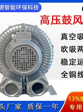 高压式鼓风风机2PB71037熔铝炉送风用旋涡风H机大量漩涡495气泵
