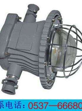 D2JS30/1276L用隔DJS30/12爆兼本质型LED巷道灯DJS3/17L矿矿用LED