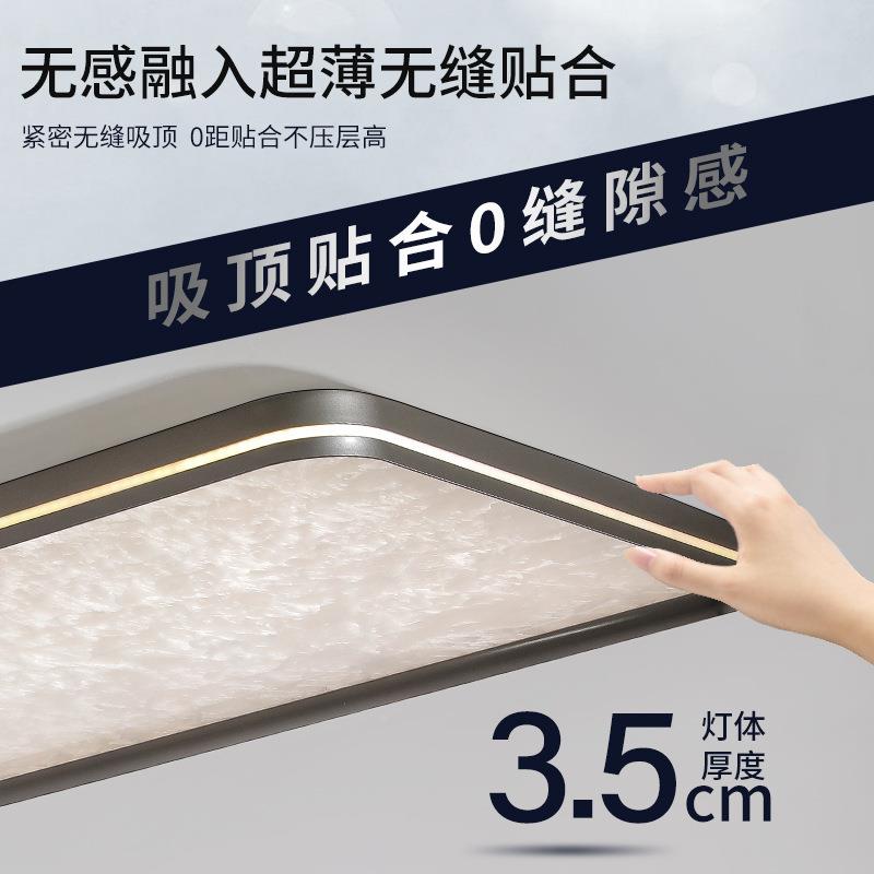 迪格雅意式极简厅吸客灯顶气248610025新款大厅主大灯全光谱护眼