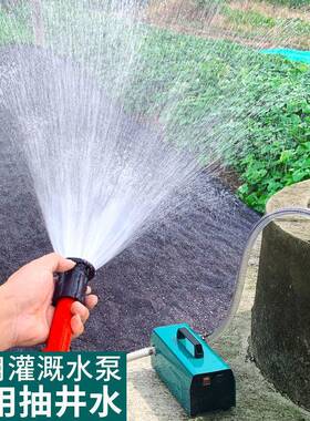 充电水泵用灌溉抽水井户外浇菜泵大UTH功率抽水12v自吸农高压抽水