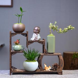 博古架7件套竹柏六月雪盆栽盆景摆件装饰客厅水培绿植花卉室内用