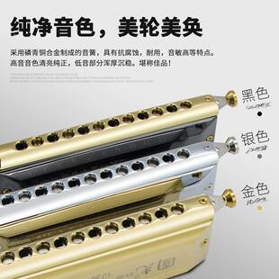 学国光1孔半音阶口琴成儿童学2生初者入门演奏口琴便携复人音IVI
