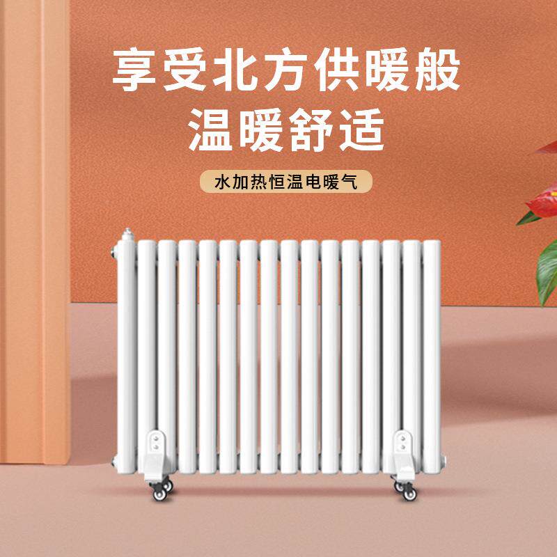 家用注水暖5025加水电暖气片加热取暖器散家热水片气片用水暖