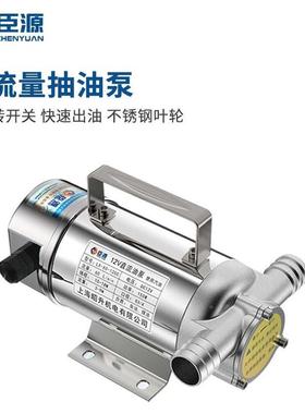0臣源不锈钢抽泵25424柴油泵正反转电动流油泵12V24V2油2V直加油泵