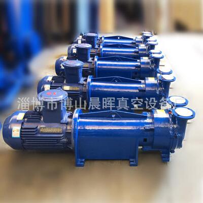 2水BV-6131环式环933水真空泵真空泵型号齐全