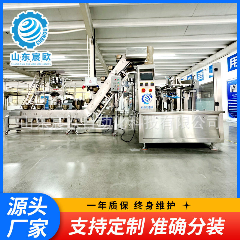 给袋式包装机 果干山楂条冻干水果干自动称重给袋式包装机设备