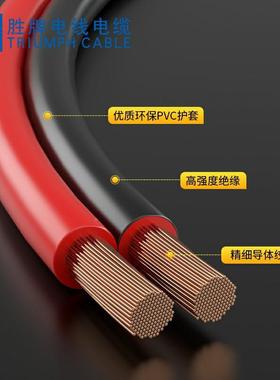 RV红B国标0.471平方平~6方黑并线排线红黑平行线OK线电5线