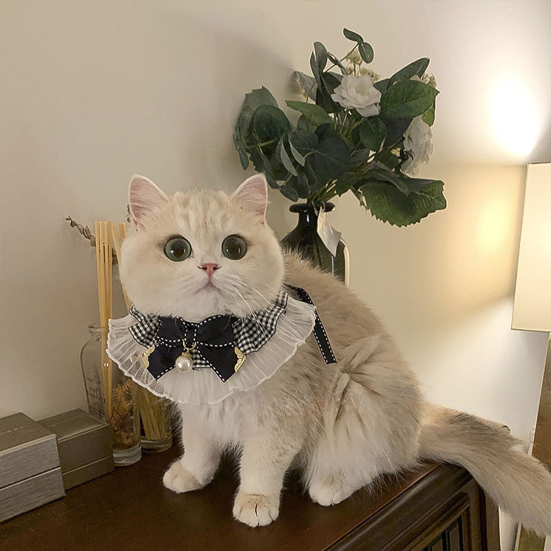 黑色系列珍珠雪纺精致蝴蝶结猫咪狗狗围脖领结宠物项圈围兜口水巾