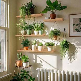 墙上置物架实木一字板墙壁墙面隔板免打孔置物板玄关绿植层板书架