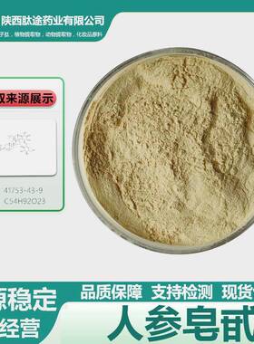 人参皂甙人参提取物水溶人参总皂甙Rg3i|Rh241753-43-9现货