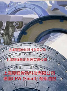德国SEW弗兰德FLENDER减速机油封CZACFWBAU5SLX282-160-13/10
