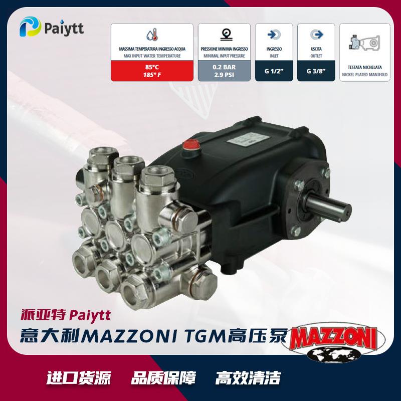 意大利进口MAZZONI工业泵热水泵耐热85度高温柱塞泵GM系列