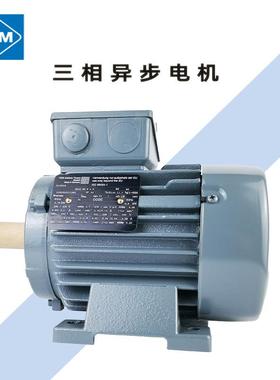 德国VEM卧式三相异步电机K21R80G4HB30.75KWB3安装