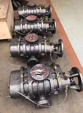 宣一DMV牌ZJ/ZPJ罗茨泵真空真厂家直销罗茨空泵