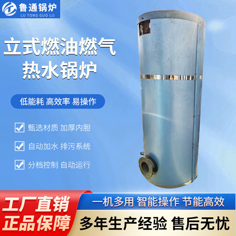 生物质燃煤供暖热水锅炉