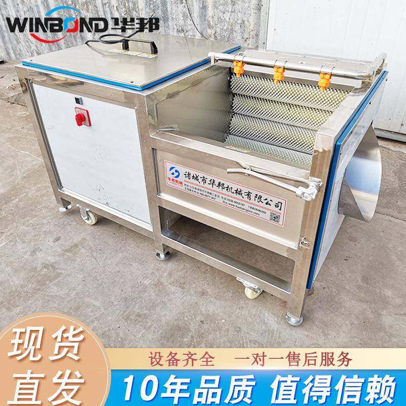 洋葱毛辊清洗机胡萝卜毛辊清洗机大姜土豆毛刷磨皮清洗设备,纺织面料/辅料/配套,纺织机械配件,淘宝优惠券,粉丝福利购,淘宝优惠卷