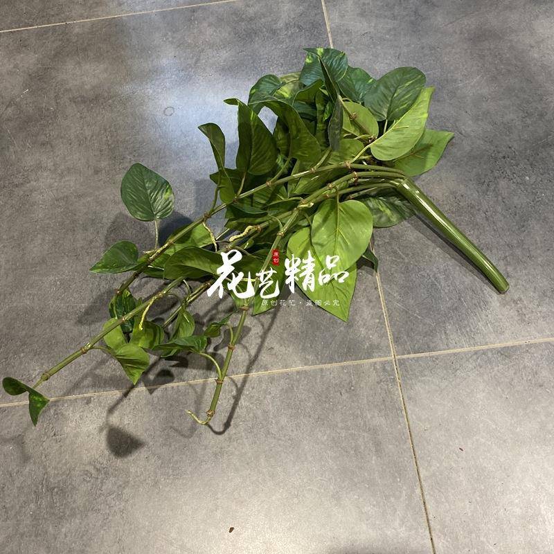 仿真绿萝藤蔓常春藤壁挂藤条室内外墙上单只/束爬藤垂挂简约时尚