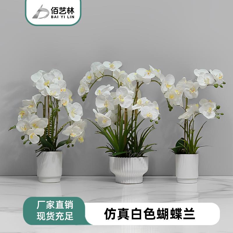 新品仿真蝴蝶兰家居插花装饰酒店大厅橱窗装饰插花手工花现货