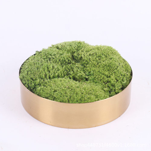 简约现代圆形金属花器装饰品样板房永生苔工艺品摆件家居软装饰品