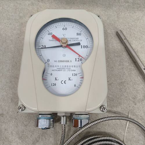 杭州华立温度控制器BWY -802A WTYK-803温控器温控仪温度指示计