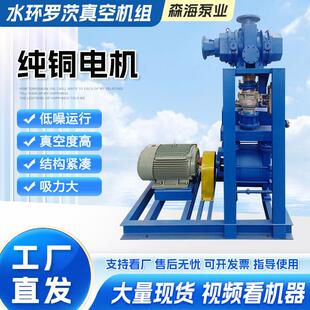 工厂直发水环罗茨真空机组高真空大流量罗茨水环真空泵抽真空设备