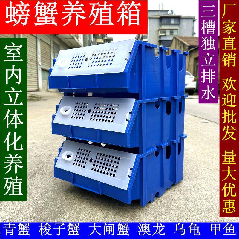 青蟹室内立体养殖设备梭子螃蟹澳龙全套系统配件淡海水育肥饲养箱