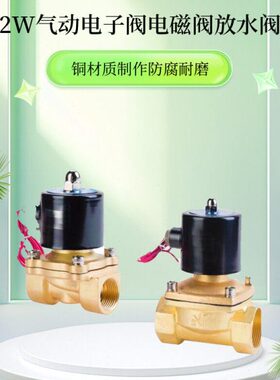 2w常闭电磁阀DN08/DN16/DN20/DN50/放水管电子阀控制阀气动22OV