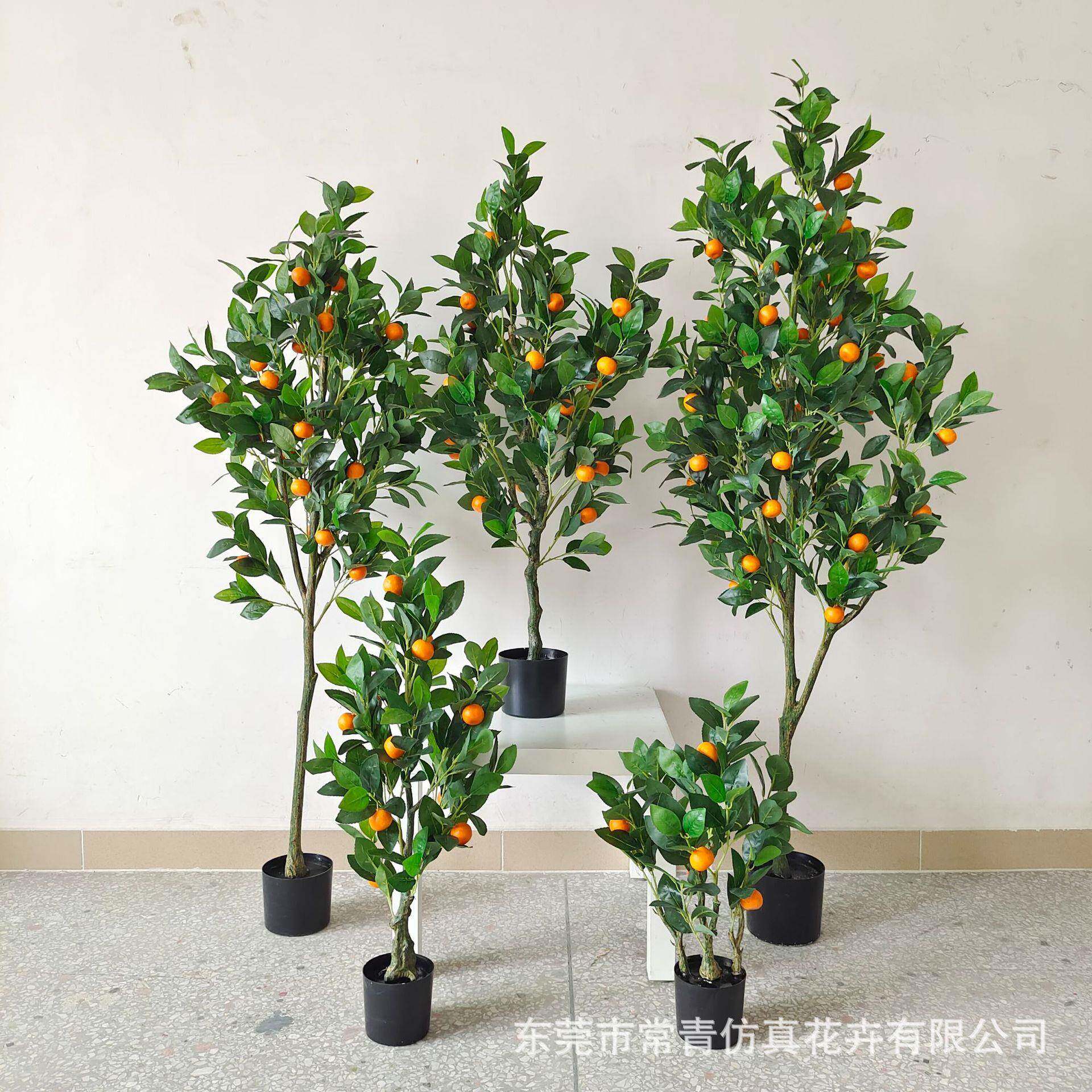 常青桔子树商场店铺软装装饰盆栽造景设计仿真加密款橘子树