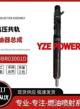 EJBR03001D喷油器总成33800-4X900适用于起亚车