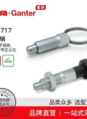 ElesaGanter伊莉莎冈特GN717分度销钢制带及不带定止位(1)