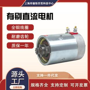 供应玲璇牌汽车尾板电机升降平台有刷直流串励电动机