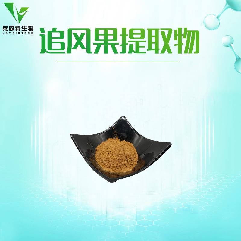 追风果提取物20:1追风果粉喷干粉追风果萃取浓缩粉现货供应