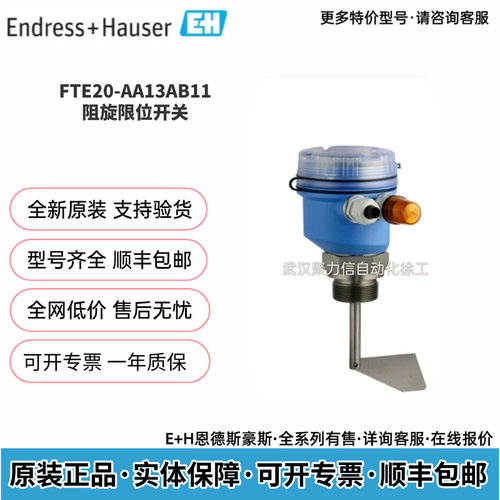 E+H恩德斯豪斯FTE20-AA13AA11阻旋限位开关用于固体散料料位测量
