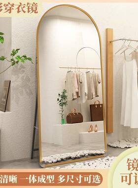 全身落镜子网红简约女少圆角家用试衣卧式穿衣地宿镜LBC舍服装店