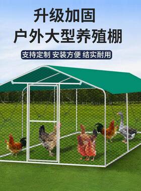 户外鸡棚鸡家笼子养鸡鸭41229鸽笼雀家禽大型孔篷遮雨鸡舍搭建用