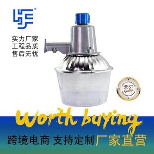 LED户外街灯小区走廊灯寿命长门头灯南美畅销街灯
