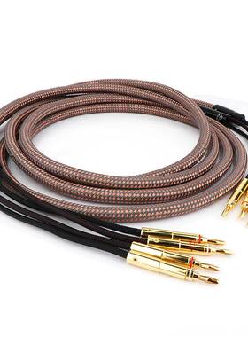 金嗓子40周年纪念版发烧级喇叭线hifi音响线专业音箱CD功放连接线