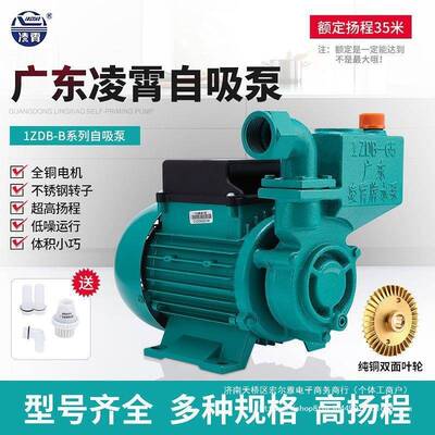 广东凌霄牌水1ZDB35/45/6型自吸水泵家用自来泵5水抽水机增压9744