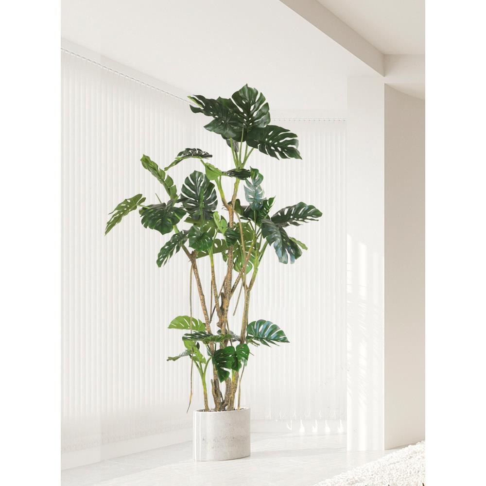 绿ASF植型巨型树龟背大盆景植物装饰龟背竹落摆件地橱窗景观