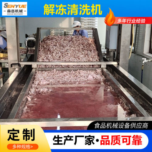 冻肉解冻清洗机水浴式鸡爪气泡解冻机冷冻海鲜内胆提升式化冻机